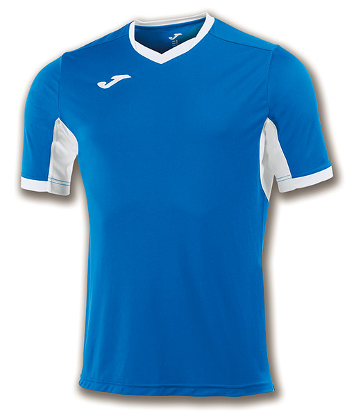 CHAMPION IV